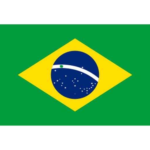 Portuguese (Brazil)